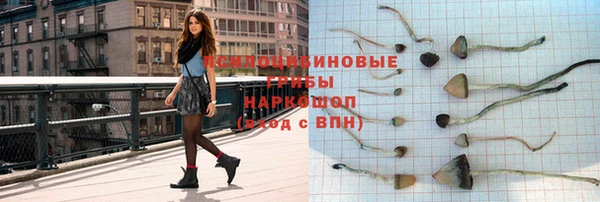 соль курить ск Щучье