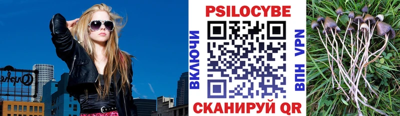 Псилоцибиновые грибы Psilocybe Купить Макушино